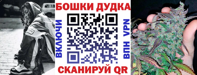 хочу   Мурманск  Каннабис индика 